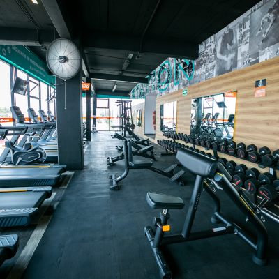 Zavaleta cardio